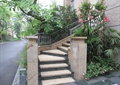 楼梯,花卉植物,铁艺栏杆,景观树,住宅景观