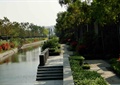 水池水景,水体景观,灌木丛,乔木,台阶