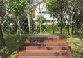 台阶踏步,木板铺装,坡地景观