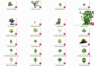 200棵2D景观树木设计SU(草图大师)模型