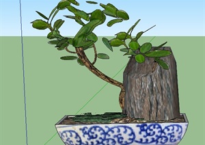 六盆中式盆景植物设计SU(草图大师)模型