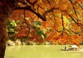滨河景观,船只,彩色乔木