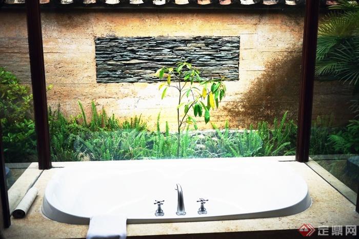 浴缸,文化石景墙肾蕨
