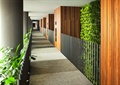 酒店走廊,铁艺栏杆,垂直绿化