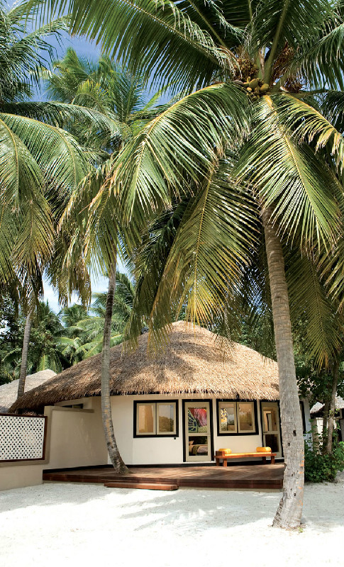 沙滩别墅,别墅庭院,木平台椰子树