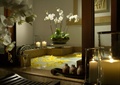 浴室,浴缸,盆栽花卉植物,摆件