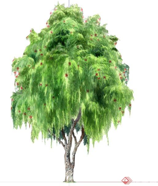 国外平面手绘树配景组件库SU模型(3)