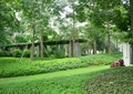 绿化景观,灌木带,廊架,廊亭
