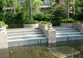 水池景观,喷水雕塑,小象雕塑,滨水台阶,树池