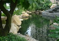 小区自然溪水,景石,台阶