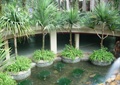小区下沉喷泉水池,圆形树池