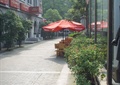 外街商业,树池,遮阳伞坐凳组合,落地窗