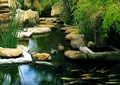 溪流水景,自然石,景石水景