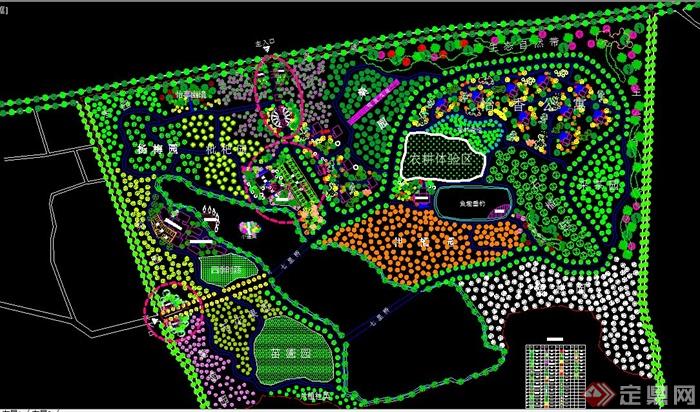 某观光果园规划设计CAD总平图(1)