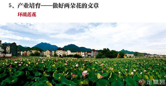 江南古村落保护与开发设计PPT文本(7)