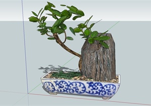 青花瓷花盆、盆栽植物设计SU(草图大师)模型