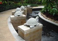 小区中庭景观,乌龟雕塑,水池,树池