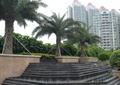 台阶喷泉水池,方形树池