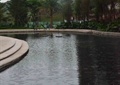 水池景观,雕塑小品,驳岸台阶,绿化带