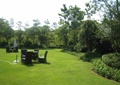 阳光草坪,桌椅,灌木丛