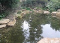 水池水景,景石水池,自然石,丹顶鹤雕塑