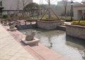 水池景观,亲水平台,喷水雕塑,蟾蜍雕塑,树池