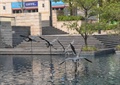 雕塑水景,水池景观,树池,驳岸台阶