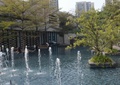 喷水景观,喷水柱,水体景观,树池