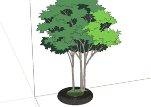 现代圆形树池设计SU(草图大师)模型