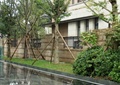 小区绿化,围墙栏杆,绿化带,树池坐凳