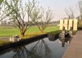 水池景观,亲水木平台,树池,石狮雕塑,草坪