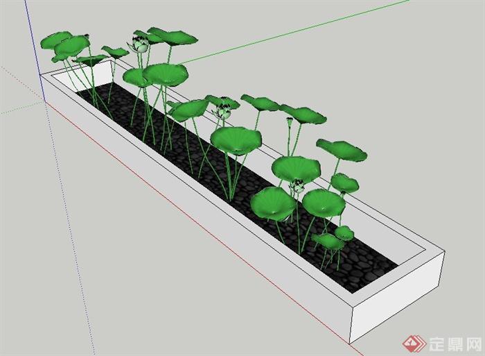 园林景观节点长方形水槽与水生植物设计su模型