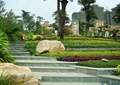 台阶,台阶式花池,自然景石