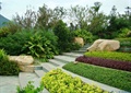 台阶,台阶式种植,台阶式花池,自然景石,绿化带