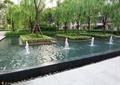 喷泉水池,方形树池,灌木丛