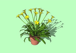 现代陶罐盆栽花卉植物设计SU(草图大师)模型