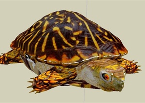 园林景观节点海龟雕塑设计SU(草图大师)模型