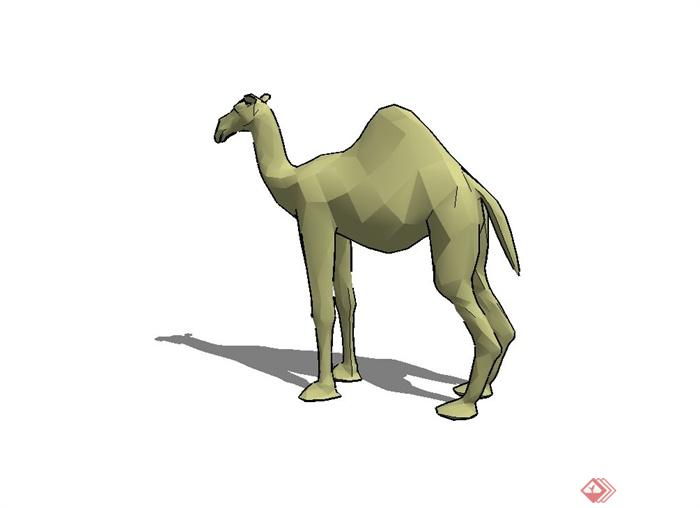 单峰骆驼设计su模型(1)