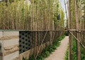 园路,围墙,竹林