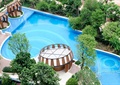 泳池景观,泳池铺装,水池景观,景观亭,树池