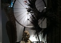服装店,橱窗展示,单车车轮,羽毛