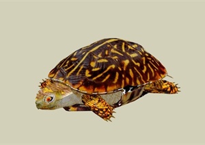 某仿真海龟雕塑SU(草图大师)模型