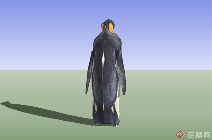 企鹅设计su模型(2)