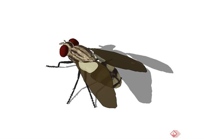 苍蝇设计su模型(3)