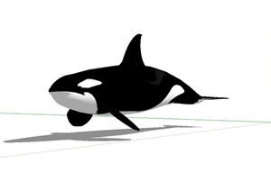 杀人鲸设计SU(草图大师)模型