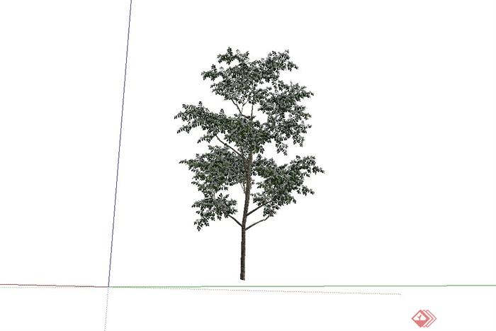 62种不同的景观树设计su模型(2)