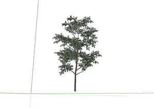 62种不同的景观树设计SU(草图大师)模型