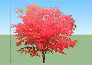日本红枫树SU(草图大师)模型