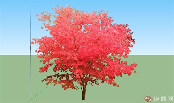 日本红枫树SU模型(1)