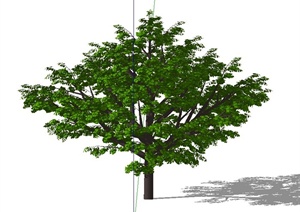 41棵3D树设计SU(草图大师)模型